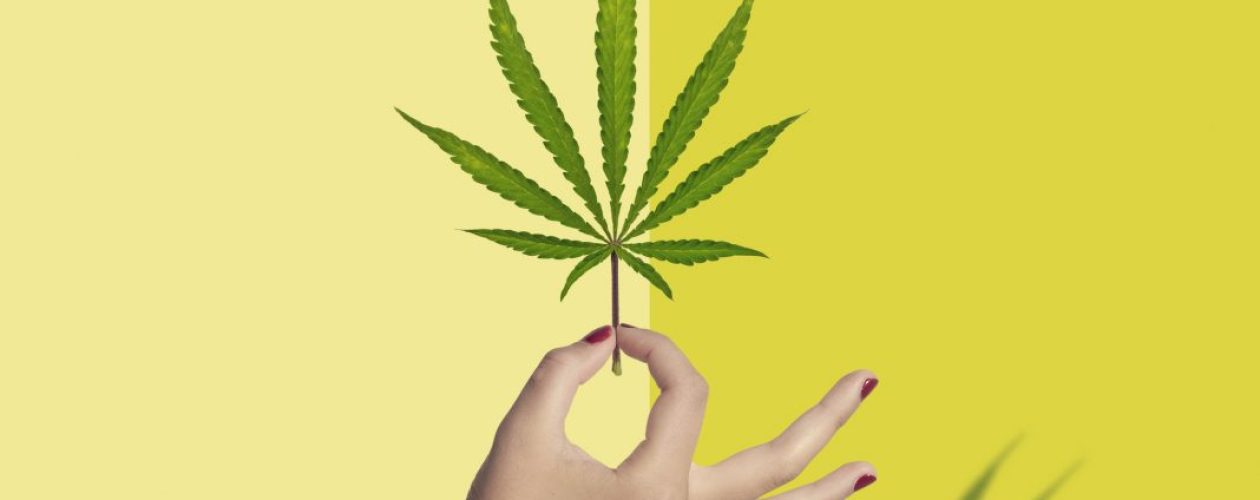 Quality products are available with same day weed delivery Vancouver