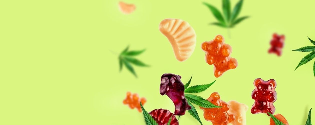 Best CBD Oils in 2020