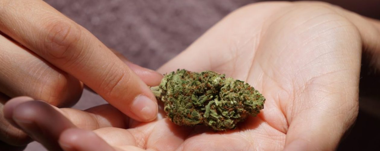 The Different Types of Marijuana Products That Can Be Delivered