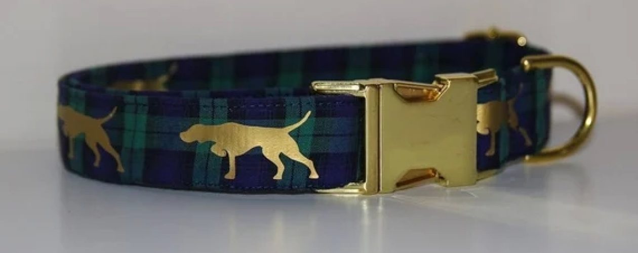 You should update information about the Vizsla E collars
