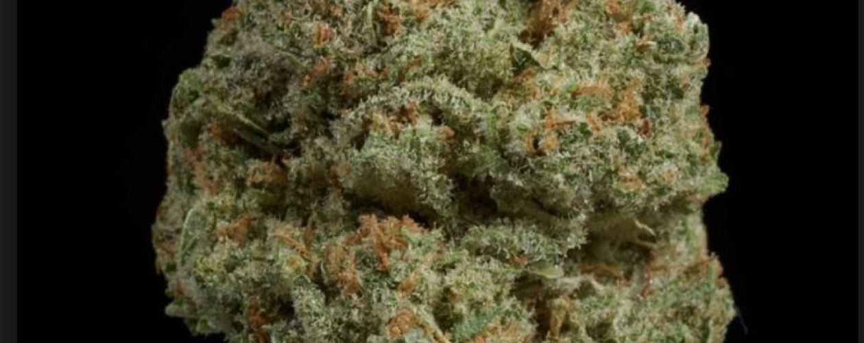 Uses of Sour Tangie: for Stress Disorders